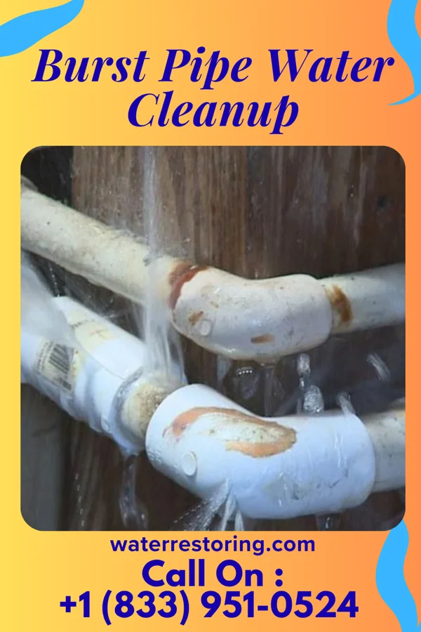 Burst Pipe Water Cleanup in Great Notch, NJ
