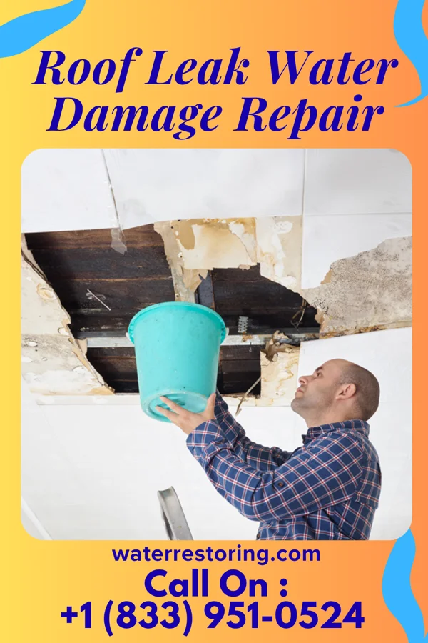 Roof Leak Water Damage Repair in Great Notch, NJ