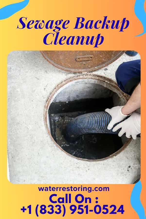 Sewage Backup Cleanup in Great Notch, NJ